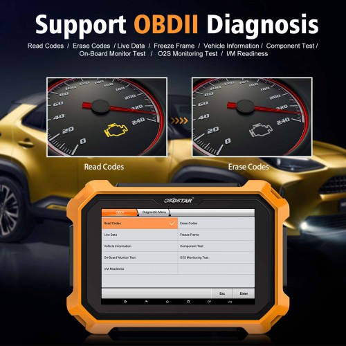 Full Configuration OBDSTAR X300 DP Plus C Package Support Airbag Reset Get Free FCA 12+8 Adapter   + Key SIM + NISSAN-40 BCM Cable
