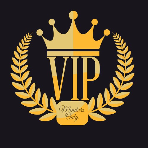 Payment Link for VIP Customer Dimitri